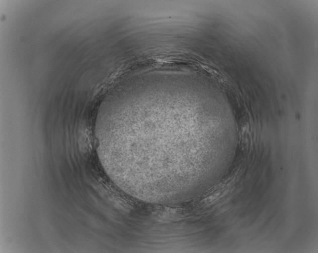 X0000074230772200609011241