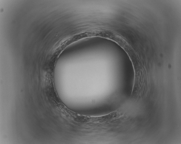 X0000074230773200609011241