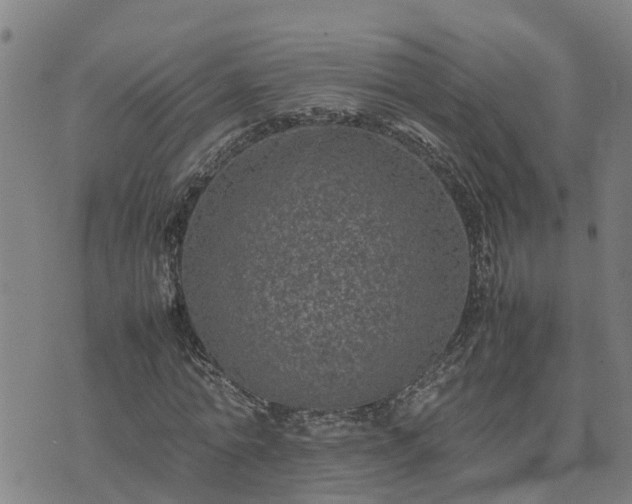 X0000074230774200609011241