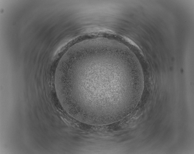 X0000074230775200609011241