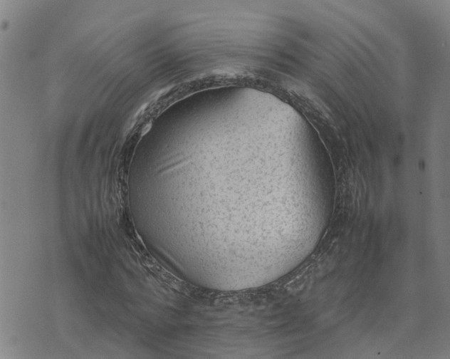 X0000074230776200609011241