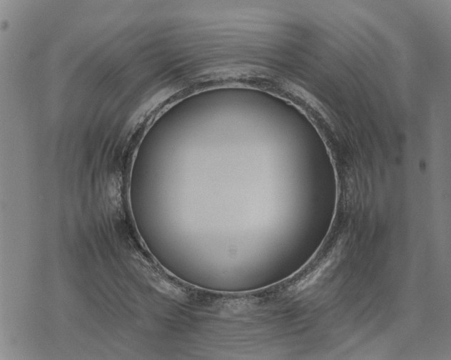 X0000074230778200609011241