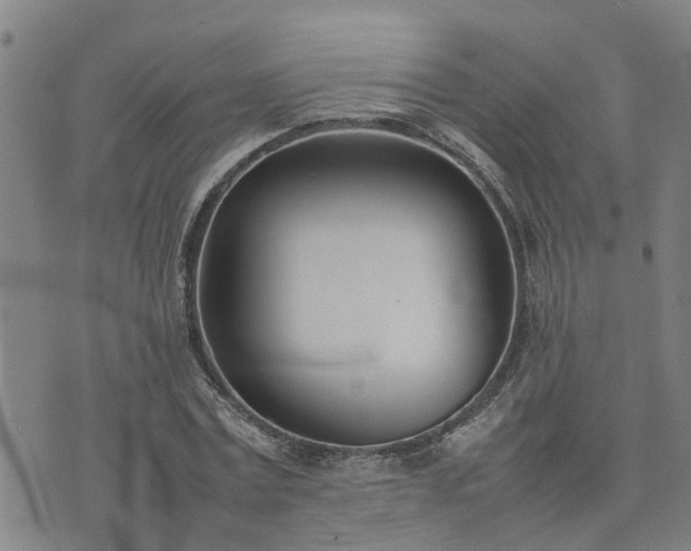 X0000074230779200609011241