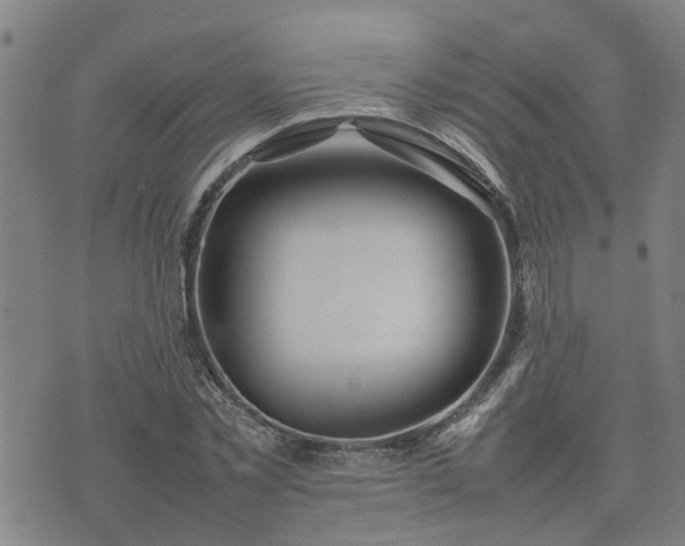 X0000074230781200609011241