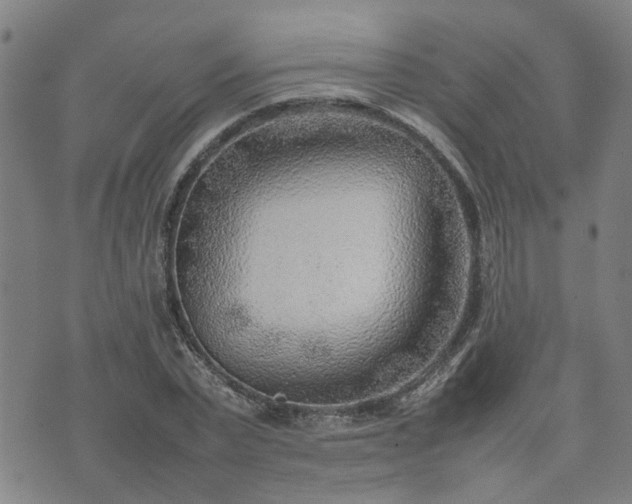 X0000074230783200609011241