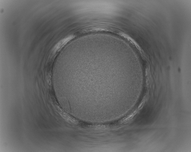 X0000074230785200609011241