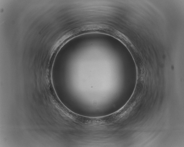 X0000074230786200609011241