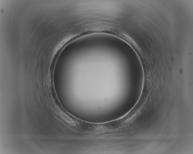 X0000074230787200609011240