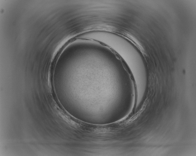 X0000074230788200609011240