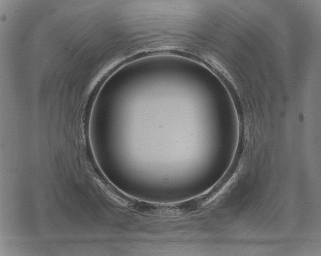 X0000074230789200609011240