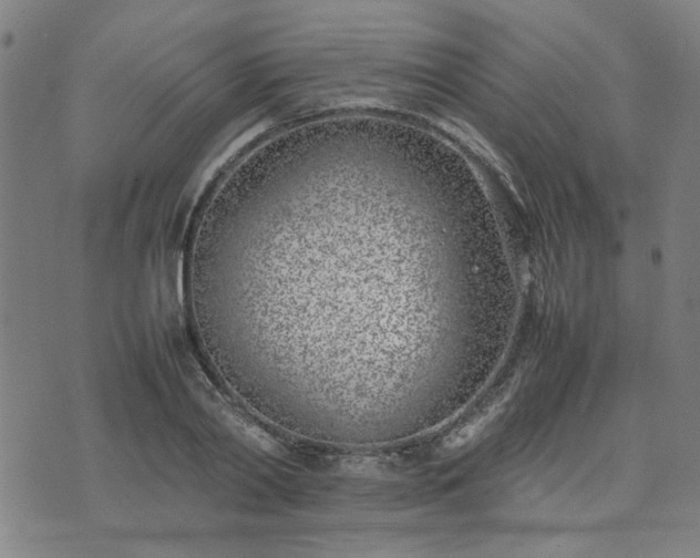 X0000074230790200609011240