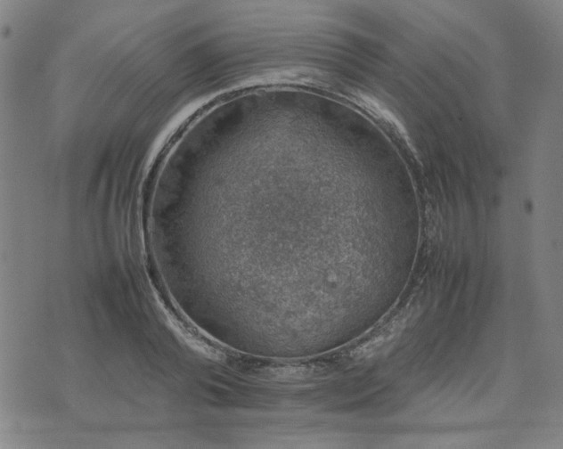 X0000074230792200609011240