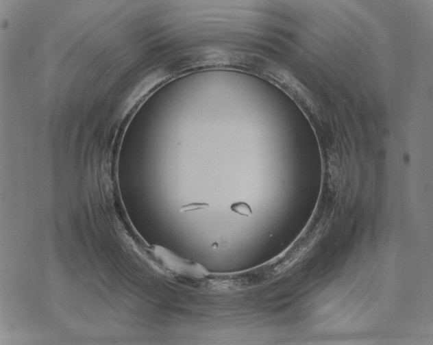 X0000074230794200609011240