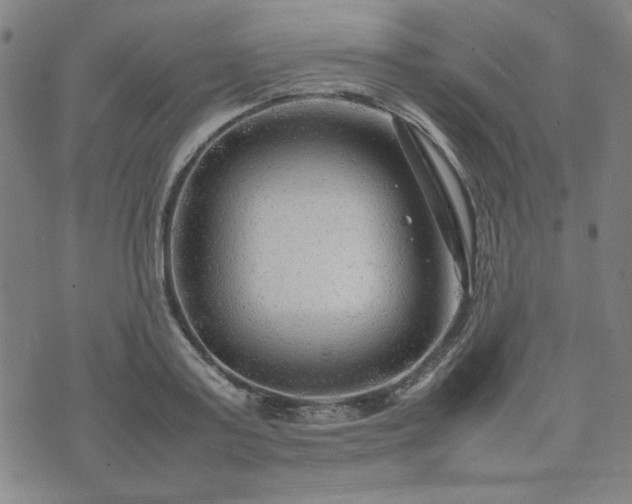 X0000074230795200609011240