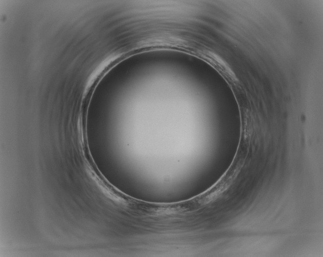 X0000074230796200609011240