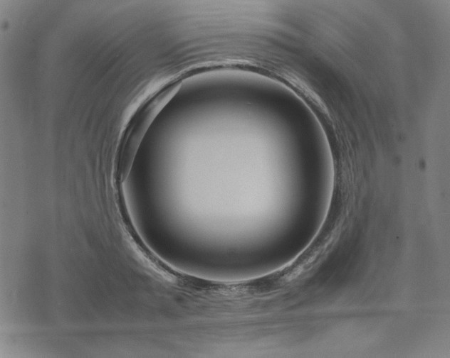 X0000074230797200609011240