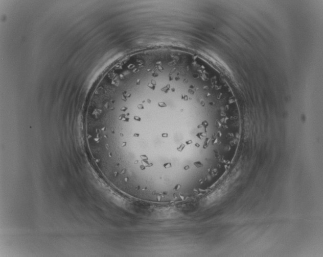 X0000074230798200609011240