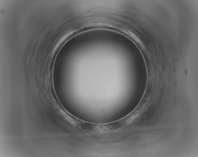 X0000074230799200609011240