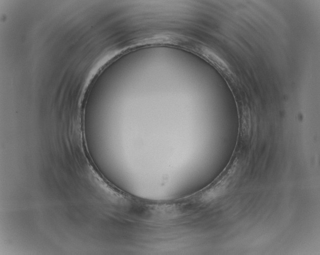 X0000074230800200609011240