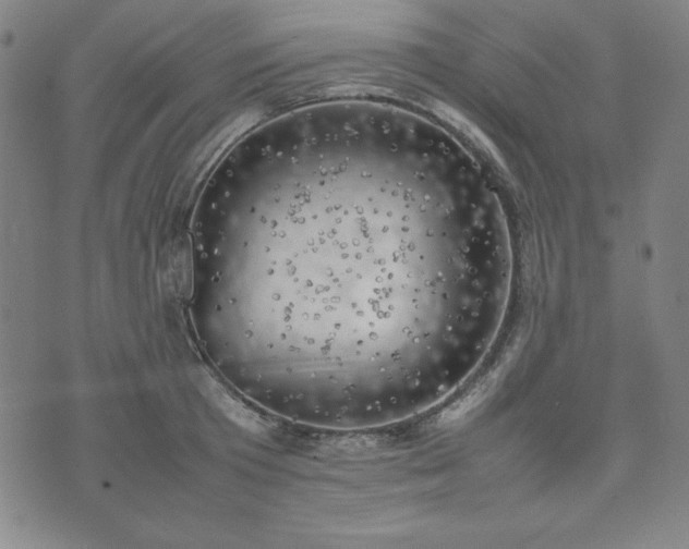 X0000074230801200609011240