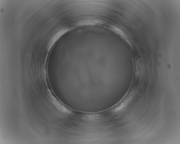 X0000074230802200609011240