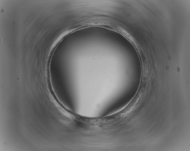 X0000074230803200609011240