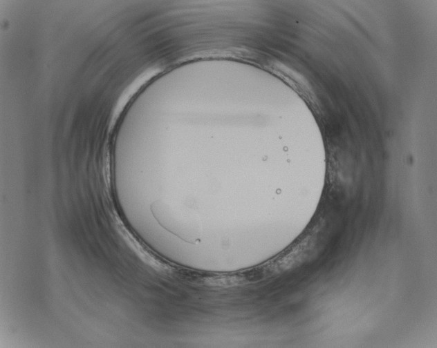 X0000074230804200609011240