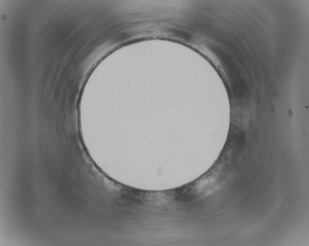 X0000074230807200609011240