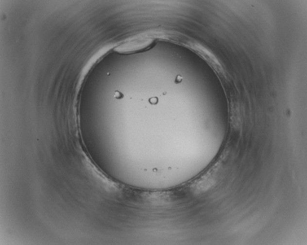 X0000074230808200609011240