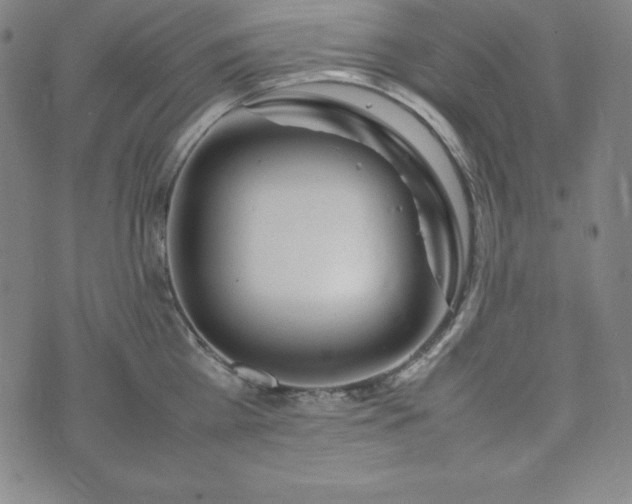 X0000074230809200609011240