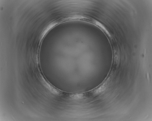 X0000074230810200609011240