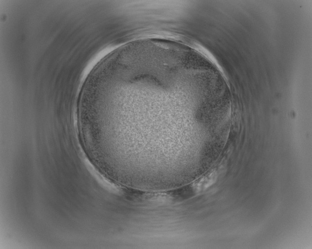 X0000074230811200609011240