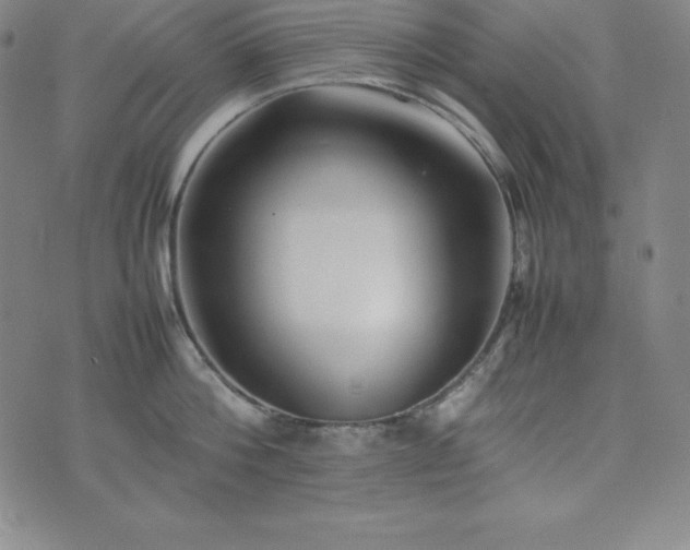 X0000074230812200609011240