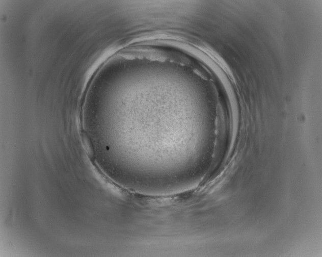 X0000074230813200609011240