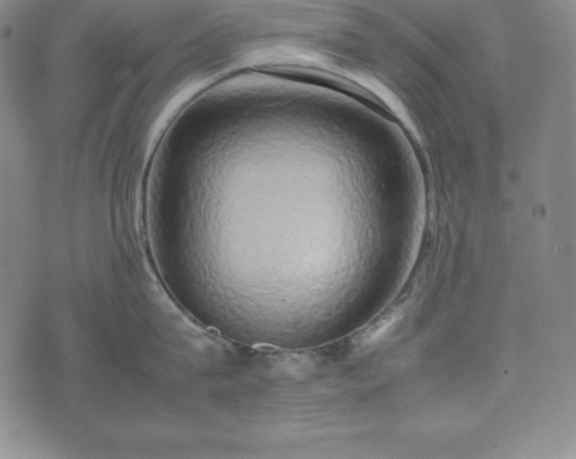 X0000074230815200609011240