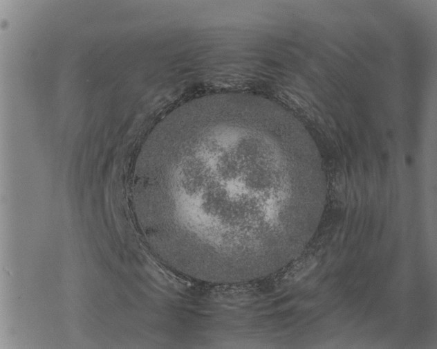 X0000074230817200609011239