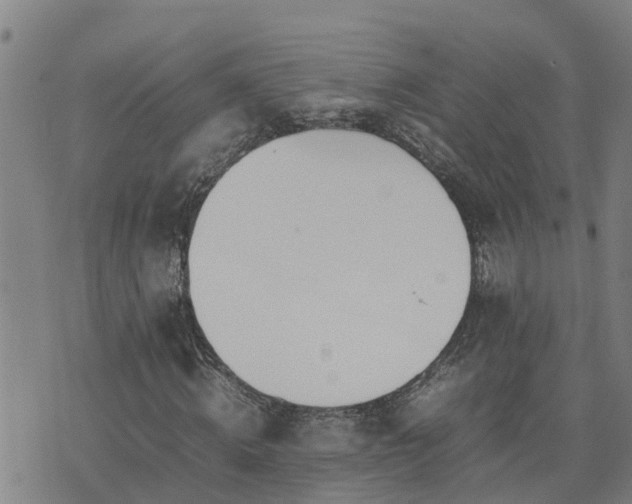 X0000074230820200609011239