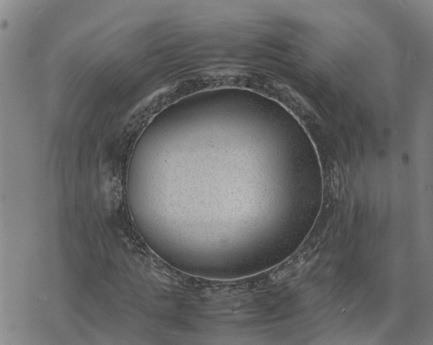 X0000074230821200609011239