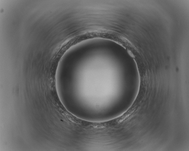 X0000074230822200609011239