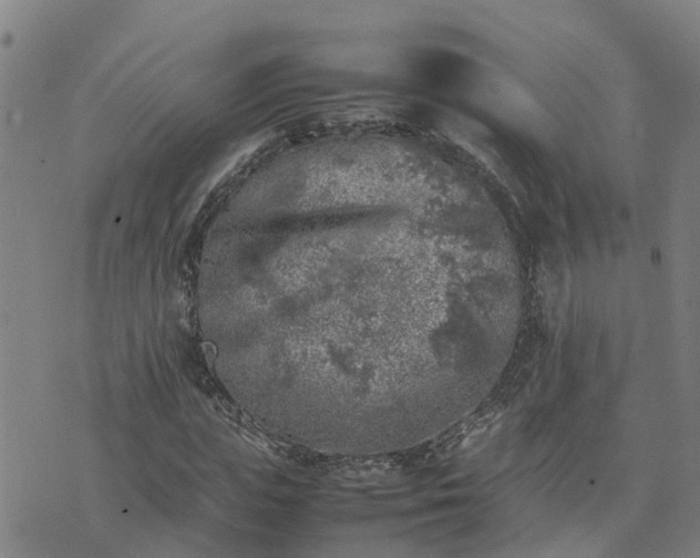 X0000074230823200609011239