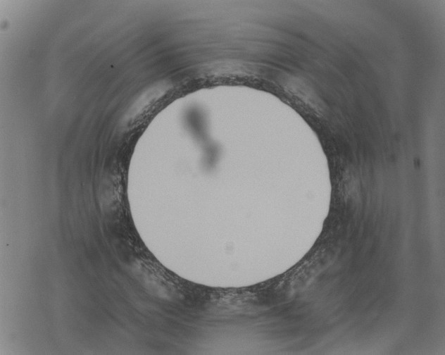 X0000074230824200609011239