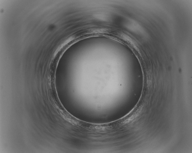 X0000074230827200609011239