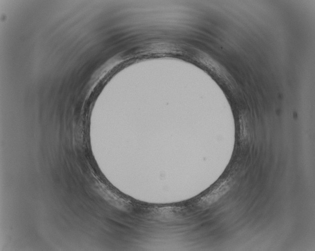 X0000074230828200609011239