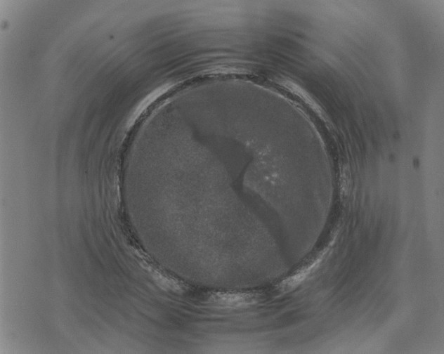 X0000074230829200609011239