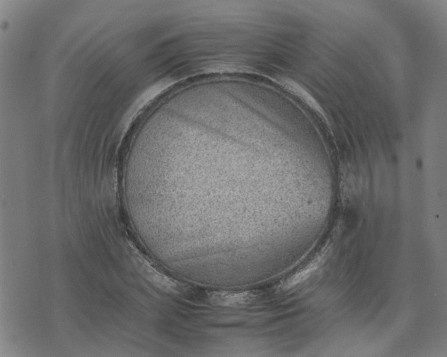 X0000074230831200609011239