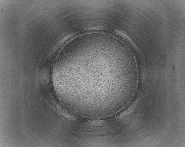 X0000074230833200609011239