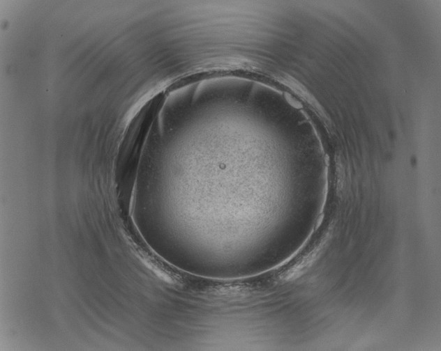 X0000074230834200609011239