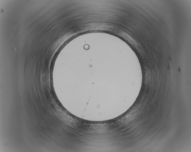 X0000074230836200609011240