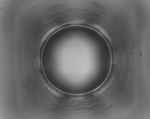 X0000074230837200609011240