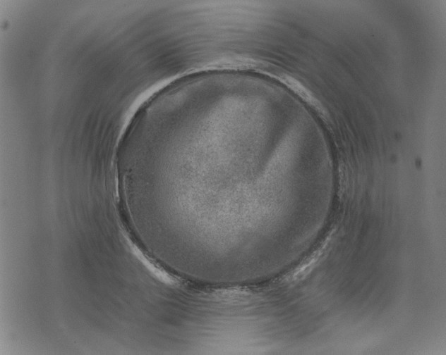 X0000074230838200609011240